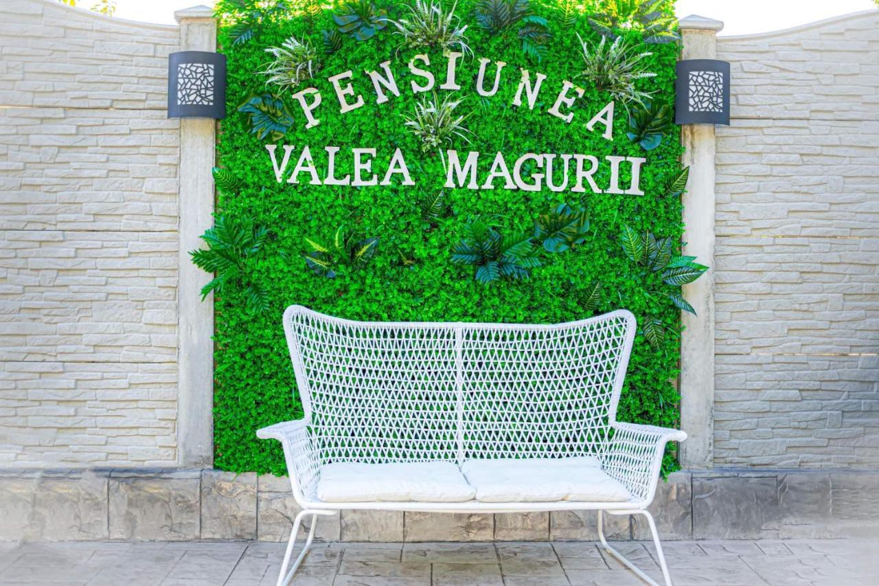 Pensiunea Valea Magurii Novaci-Străini エクステリア 写真