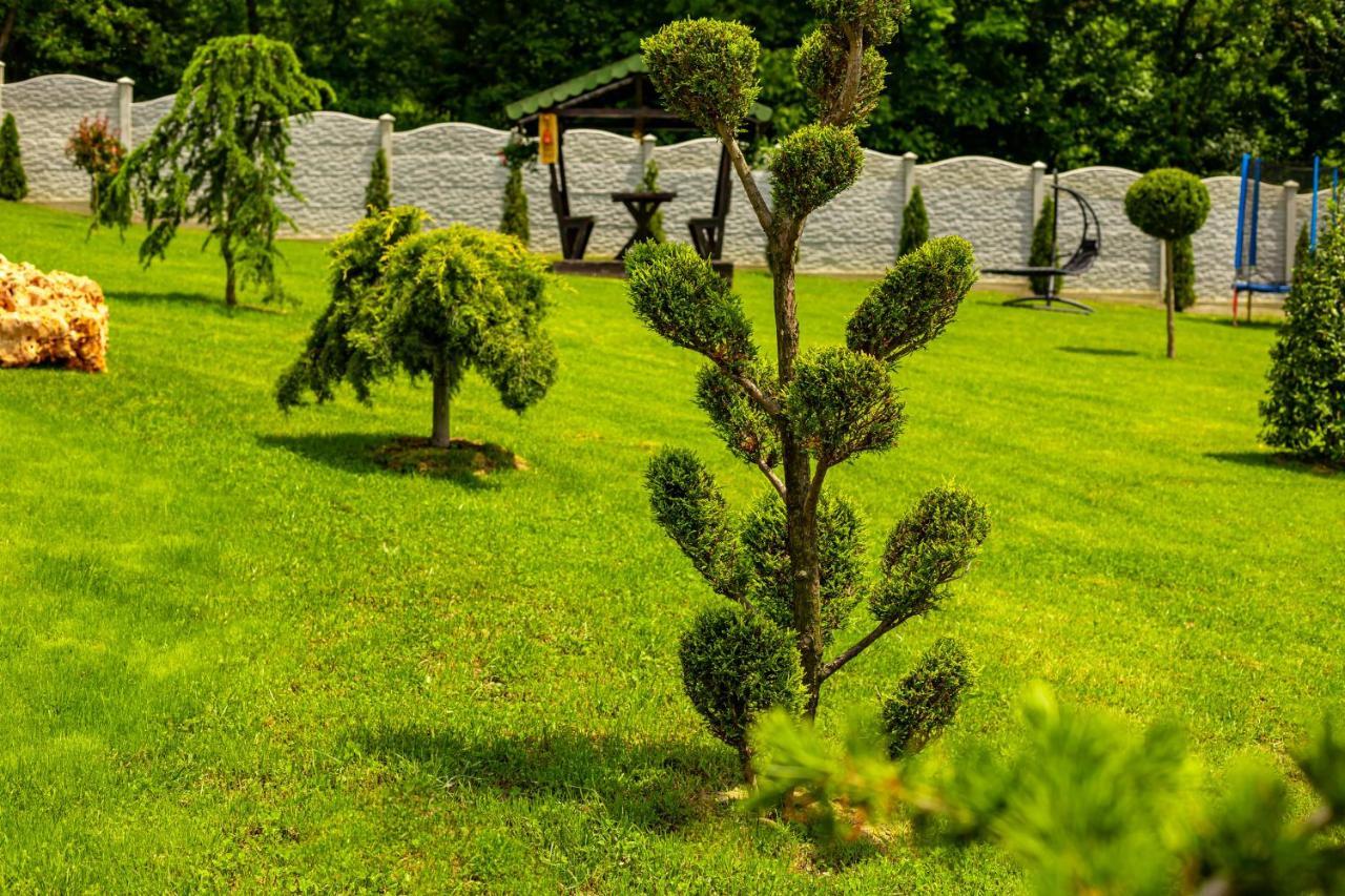 Pensiunea Valea Magurii Novaci-Străini エクステリア 写真